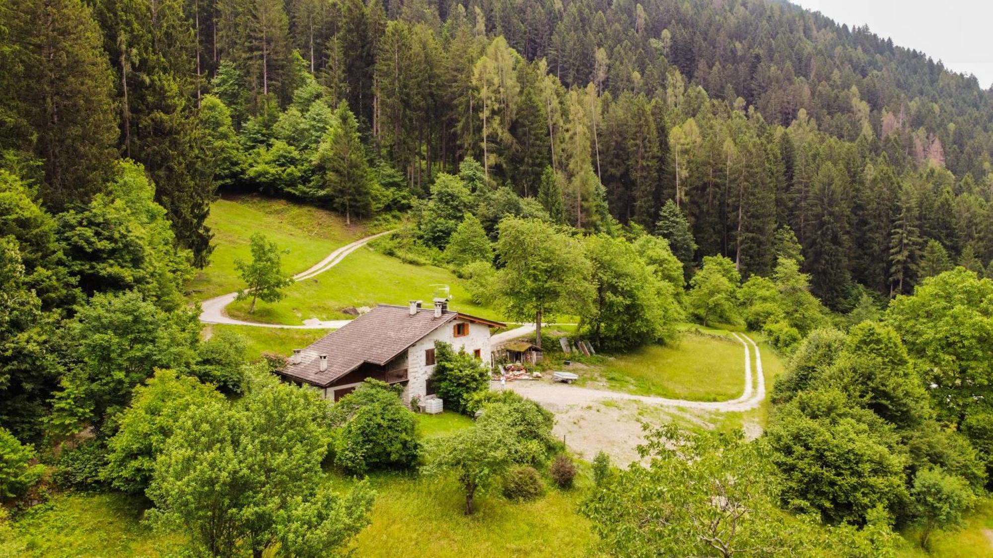 Luxury Chalet Dolomiti-Campiglio-Trentino Porte di Rendena Exterior foto